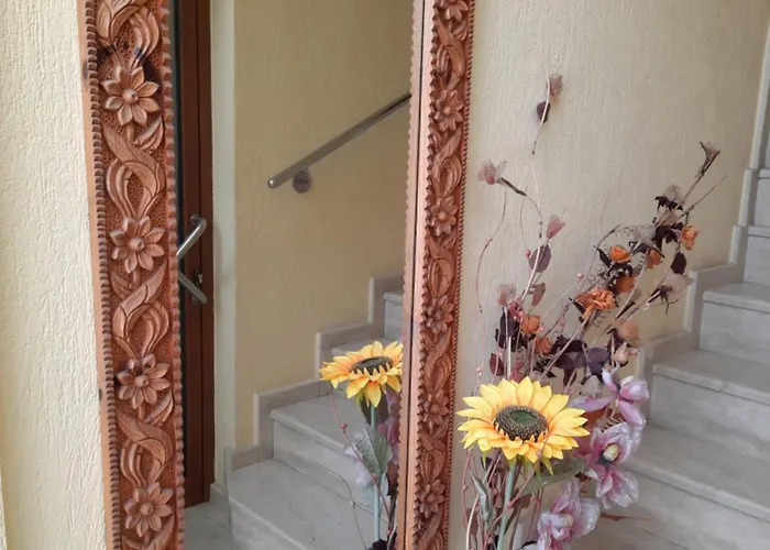 Elegance * סנדנסקי